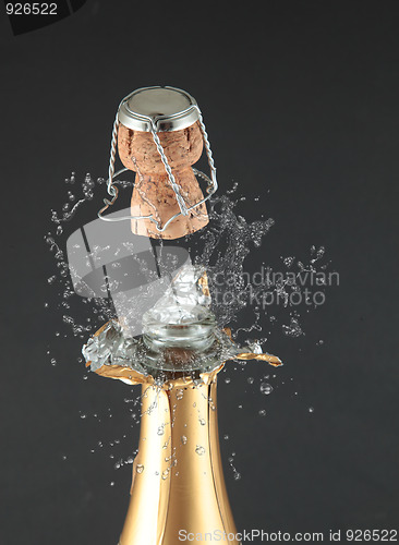 Image of Champagne 