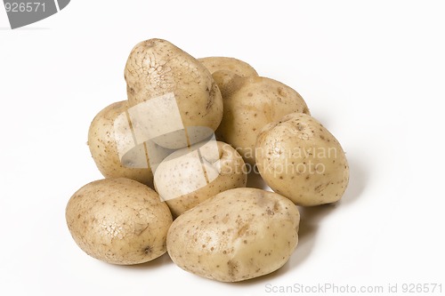 Image of organic food, new potatoes