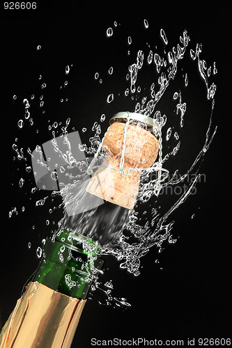 Image of Champagne 