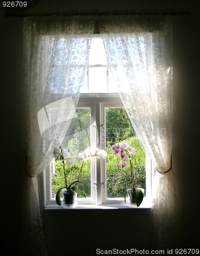 Image of Summer window