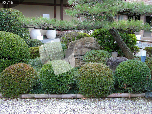Image of Japanese Garden Close-up