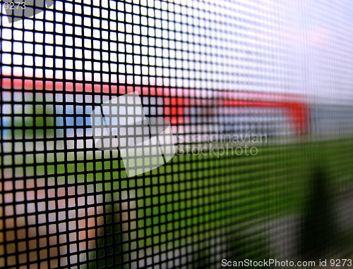 Image of World through mosquito net