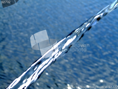 Image of Diagonal water currant
