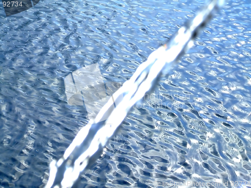 Image of Water currant blue