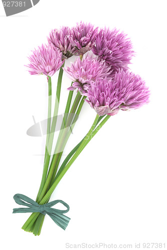 Image of Chives Herb