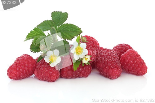 Image of Raspberry Fruit