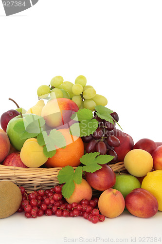 Image of Tropical, Citrus and Berry Fruit