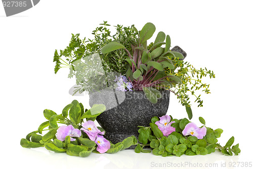 Image of Herb Leaf and Flower Selection
