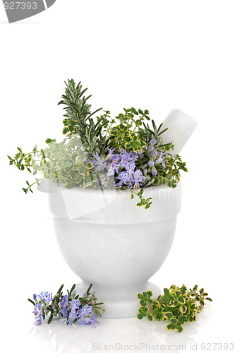 Image of Rosemary and Thyme Herbs