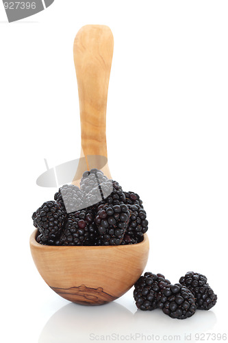 Image of Blackberry Fruit