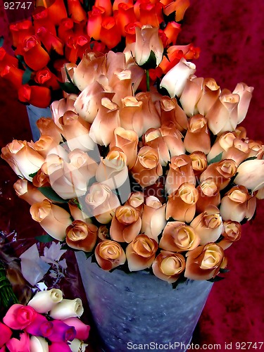 Image of Brown roses