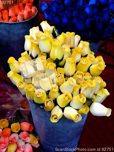 Image of Yellow rouses
