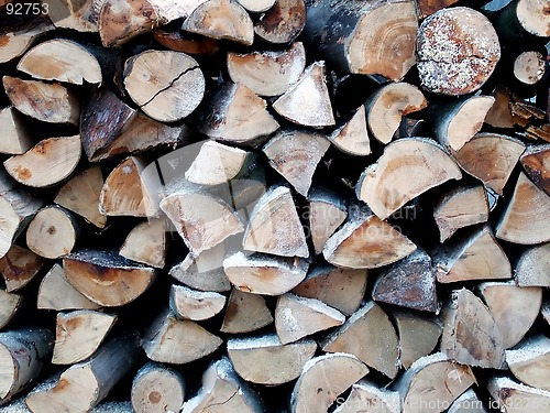 Image of Big pile of wood