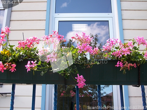 Image of Flowers before office