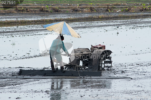Image of Farmer levelling a rice field in Thailand.