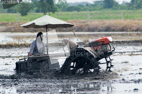 Image of Farmer in Thailand preparing the rice field