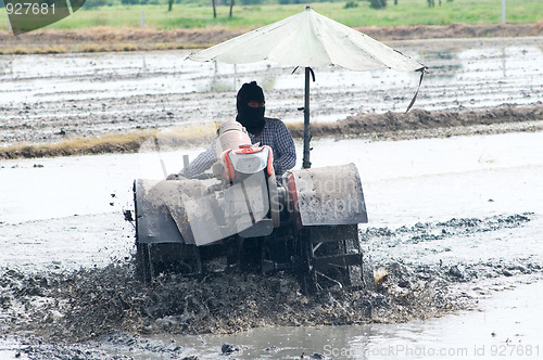 Image of Farmer Thailand preparing the field before planting rice.