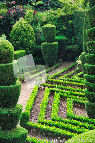 Image of Decorative green park – Botanical garden Funchal, Madeira