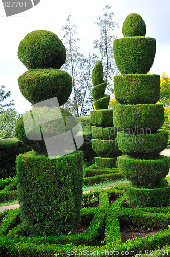 Image of Decorative green park – Botanical garden Funchal, Madeira