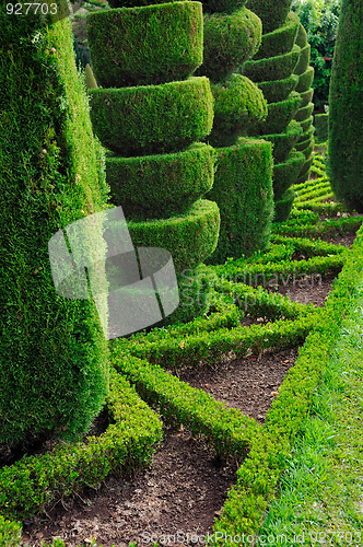 Image of Decorative green park – Botanical garden Funchal, Madeira