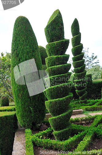 Image of Decorative green park – Botanical garden Funchal, Madeira