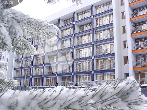 Image of newly erected house in forest