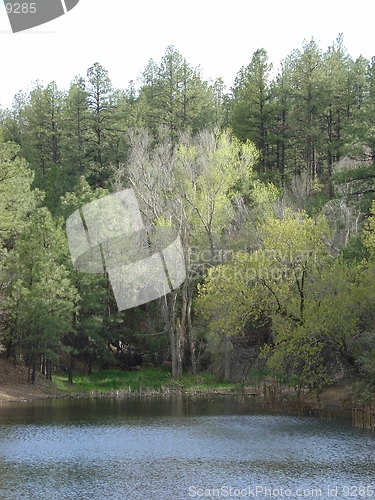 Image of PAYSON LAKE