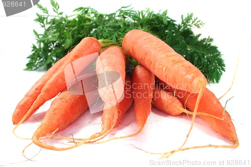 Image of Carrots