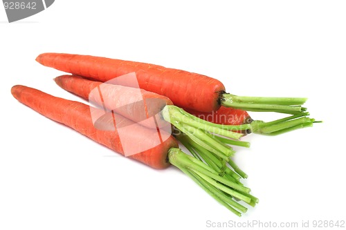 Image of Carrots