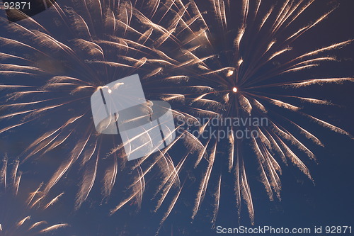 Image of darkling firework