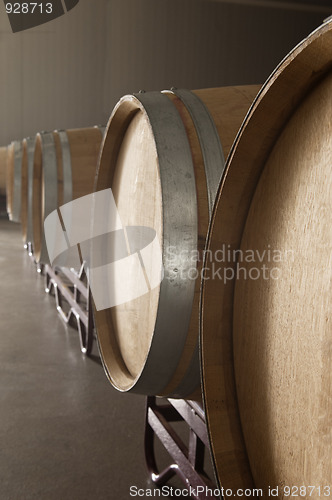 Image of Oak barrels in a winery