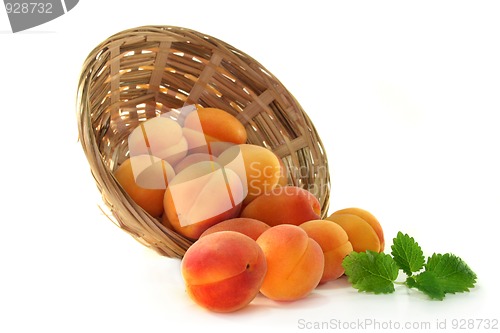 Image of Apricots