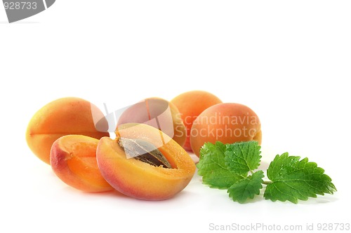 Image of Apricots