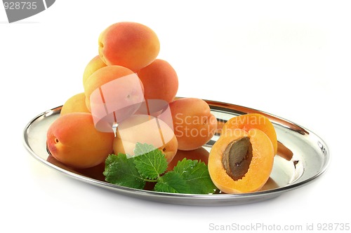 Image of Apricots