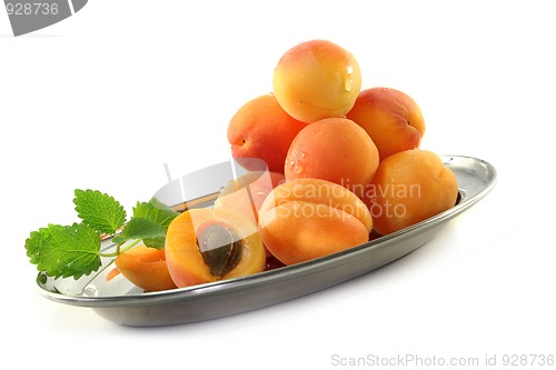 Image of Apricots