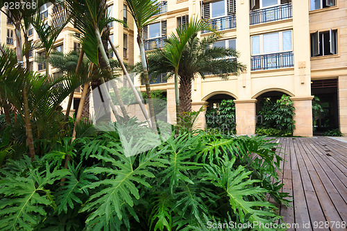 Image of garden