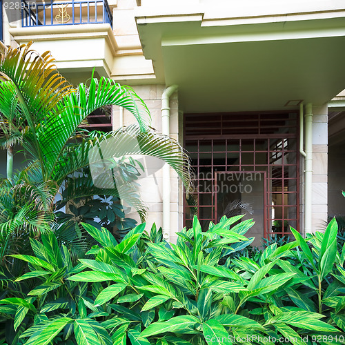 Image of garden