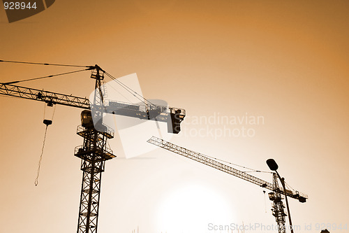 Image of crane