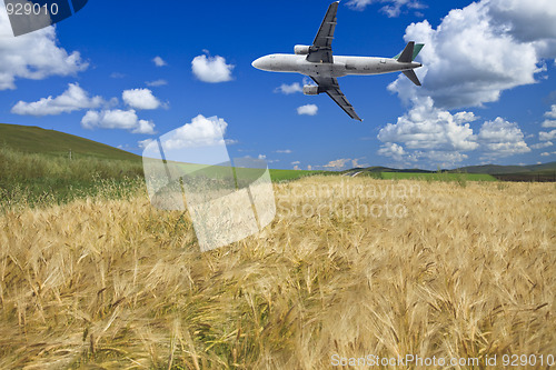 Image of airplane and wheat field