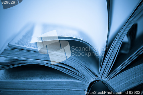 Image of book