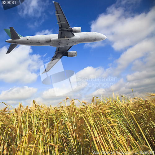 Image of airplane and wheat field