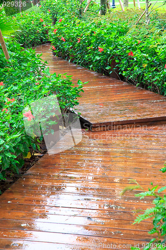 Image of footpath