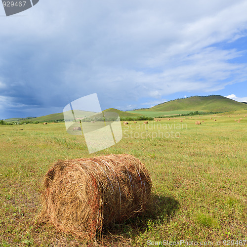 Image of meadow of Inner Mongolia 