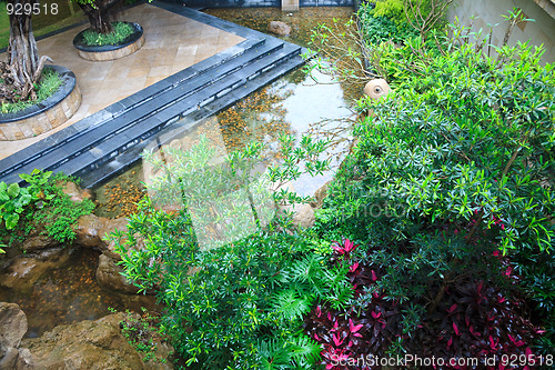 Image of garden