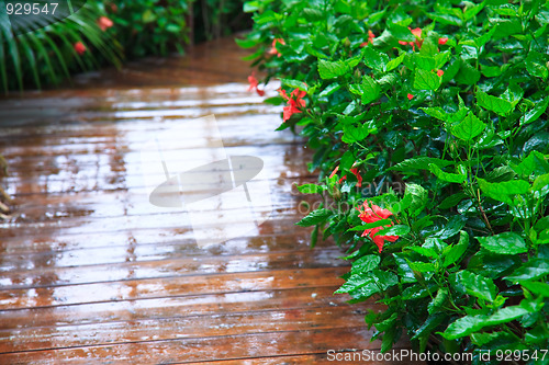 Image of footpath