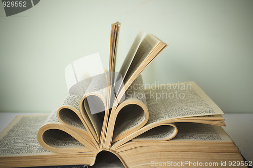 Image of book