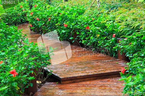 Image of footpath