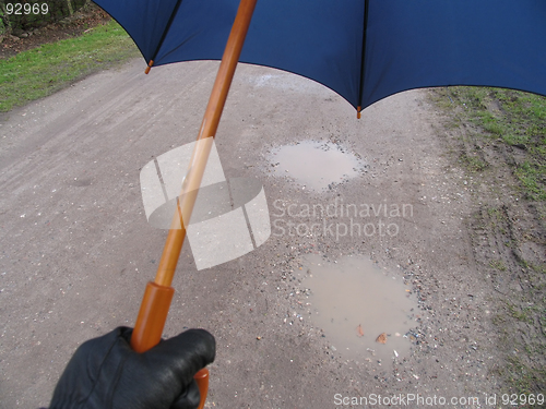 Image of Rain