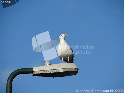 Image of proud
