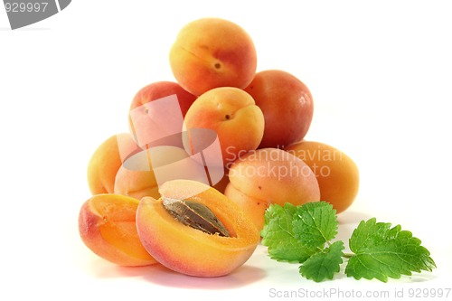 Image of apricots